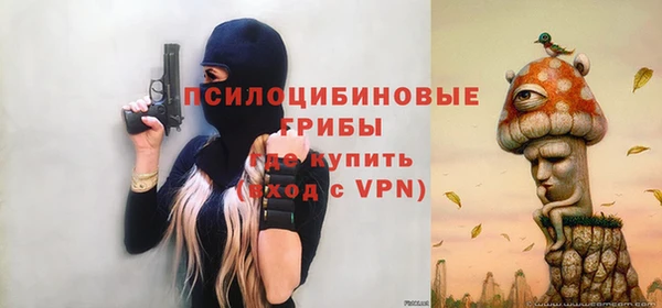 apvp Аркадак