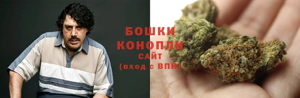 ГАЛЛЮЦИНОГЕННЫЕ ГРИБЫ Арсеньев