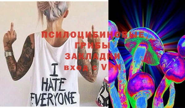 первитин Балахна