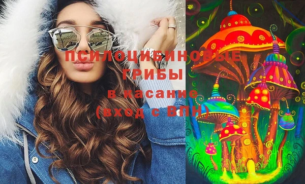 мдпв Армянск