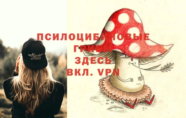мдпв Армянск