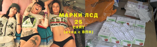 ГАЛЛЮЦИНОГЕННЫЕ ГРИБЫ Арсеньев